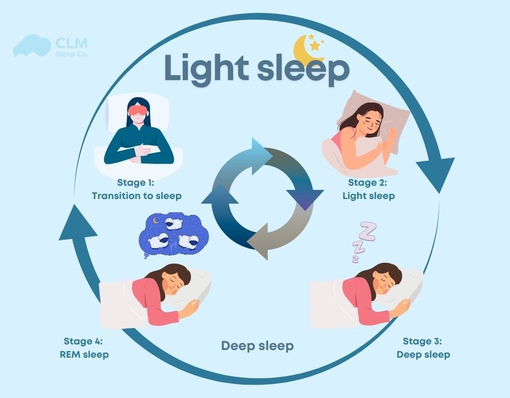 The Architecture of Slumber: A Professional Guide to Sleep Cycles